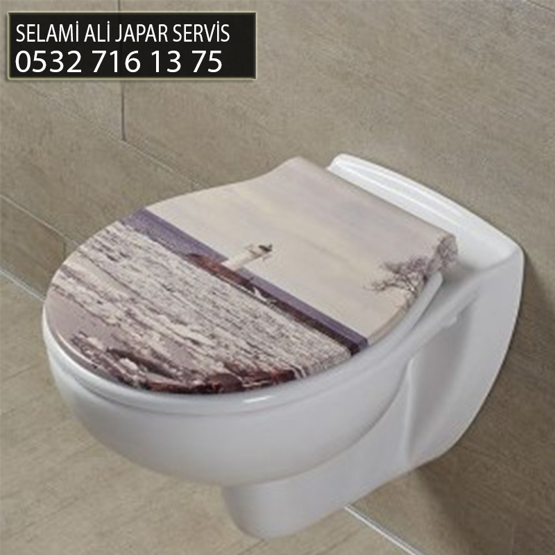 selami ali japar servis